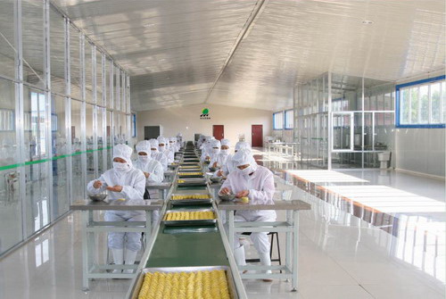 深圳坳背村食品廠廠房裝修公司